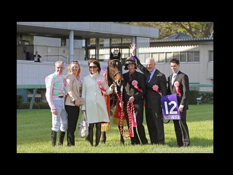 [HD 1080p] 2013 Nakayama Grand Jump (G1) - Blackstairmountain