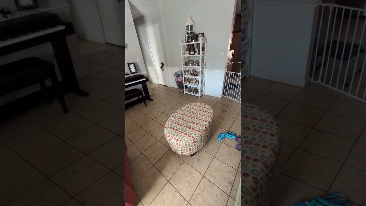 Enlarge Cricket, a ADOPTABLE mixed breed in Duluth, GA video 6/6