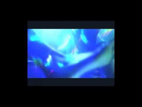 Oliver Kovach - Ribice