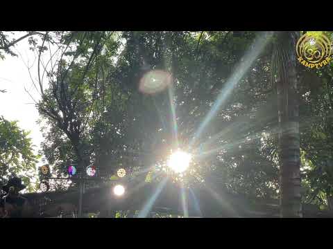 Daloy Alon - “Pag-ibig” | Sunken Roots 8th Year Anniversary 11/23/24