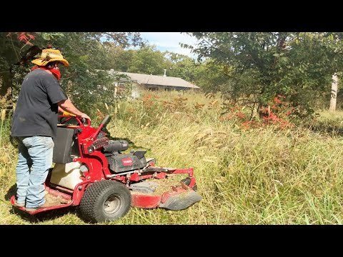 “The Overgrown Trap: “I Got My Mower Stuck in Copperhead Country"