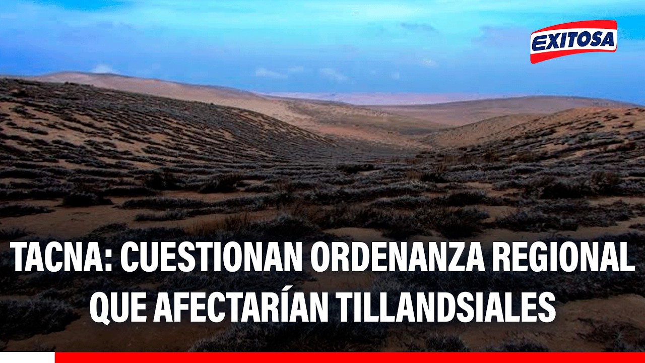 🔴🔵 Ordenanza regional genera cuestionamientos por su posible impacto en los tillandsiales