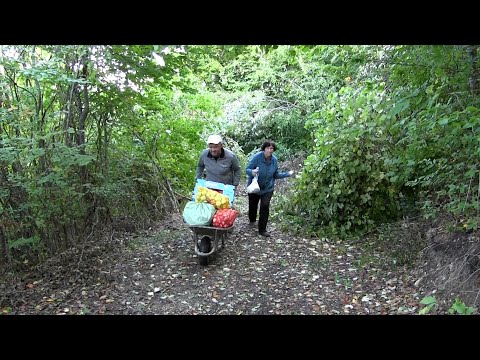 Zaboravljena duša sa planine Rogozne