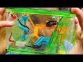 Bug Playground - For Real Bugs - Bug Hunt For Kids With Zoe and Daddy