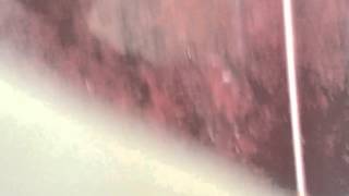 Sean van der Wilt - Wet (Official Music Video)