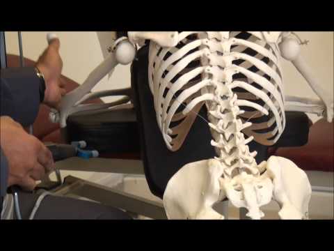 Shockwave Ultralign by Quick Stop Solution Sdn Bhd