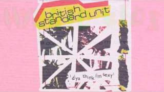Hybrid Kids - British Standard Unit : D'Ya Think I'm Sexy