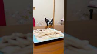 こんな姿見たら泣けてくる