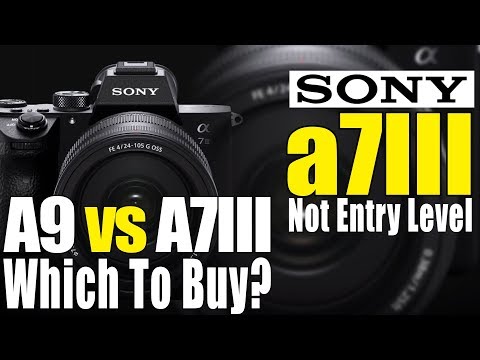Sony A7III vs Sony A9 Which is a better buy? A7 III full-frame mirrorless DSLR camera