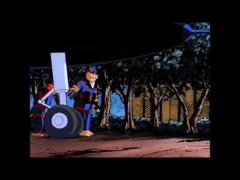 Swat kats