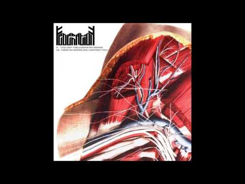 Federation - [You've Got The] Chemistry Wrong (Freesoup Remix)