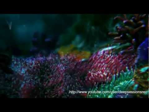 DSR212 AtmoNoise - Infamous Ep • Deepsessions Recordings