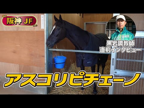 アスコリ ピチェノについて詳しく解説