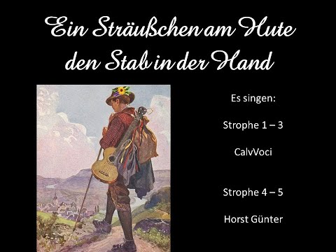 Ein Sträußchen am Hute - Singer CalvVoci