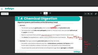 Chemical digestion.