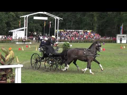 Kristóf OSZTERTÁG (HUN) FEI CH-M-AH2, Drebkau (Germany), cones, 15.09.2019