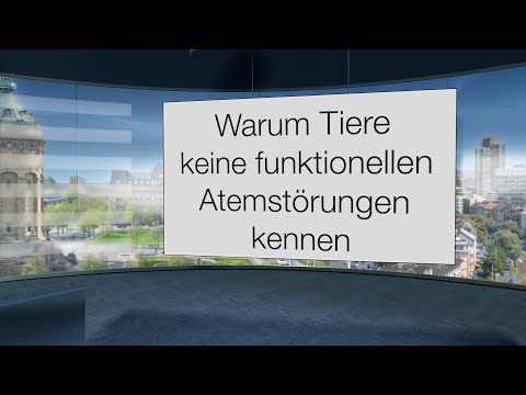 Warum Tiere keine funktionellen Atemstörungen kennen und warum wir Menschen darunter leiden.