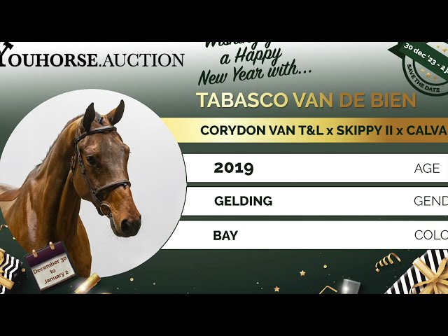 Tabasco van de Bien @ the show