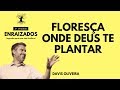 Floresça Onde Deus Te Plantar Davis Oliveira Ep 2 Série ENRAIZADOS