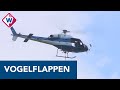 Met een helikopter worden vogelflappen aan hoogspanningsmasten gehangen - OMROEP WEST