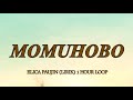 MOMUHOBO - ELICA PAUJIN LIRIK 1 HOUR LOOP