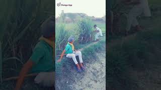  Punjabi funny video  whatsApp status video 