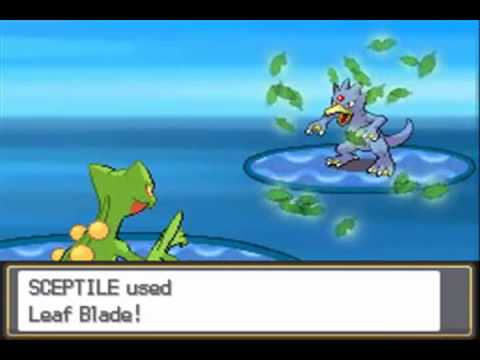 Pokemon Soul Silver Walkthrough 65 - Cerulean Gym