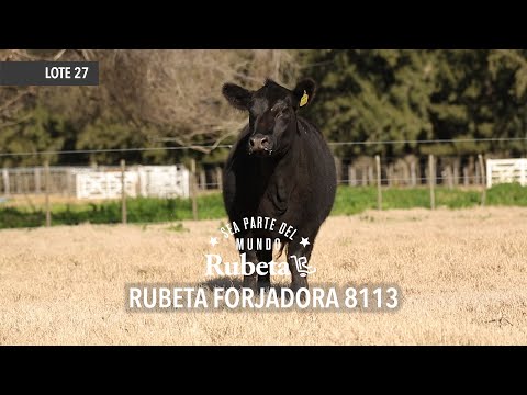 RUBETA FORJADORA 8113 - LOTE 27