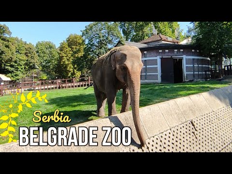 Belgrade Zoo, Serbia