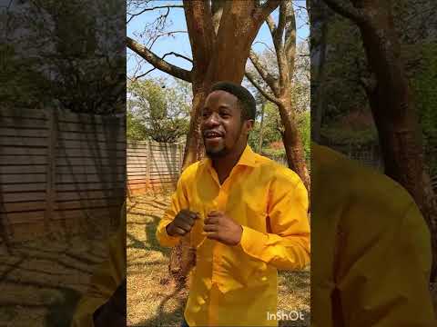 Batsirai Shasha - Handina Bakatwa (Visualizer)