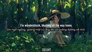 Download lagu [Lyrics Vietsub] Enchanted - Taylor Swift mp3