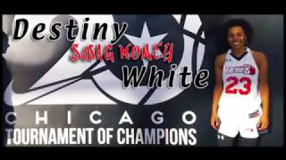 DESTINY'S HIGHLIGHT REEL