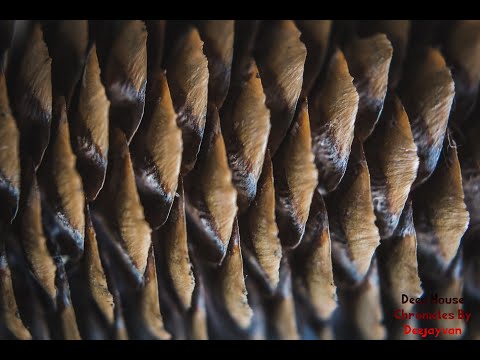 Deep House chronicles 8 #playdeejayvanmusic #deephouse #roadto500subs - Deejay van