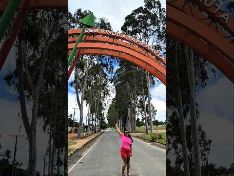 Minha terrinha Tapiramutá-Ba #interior  #feriado #brasil