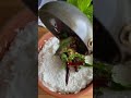 Dahi Chawal Recipe Curd Rice Quick And Simple Recipes