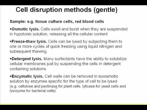 Tips for protein extraction