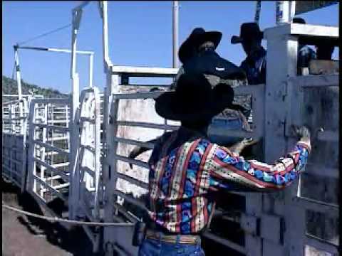 Pellegatti bull ride, Phoenix, AZ