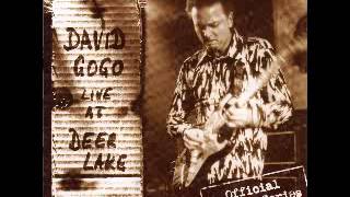 Download lagu David Gogo - Live At Deer Lake - 2003 - It's A Man's World - Dimitris Lesini Blues mp3