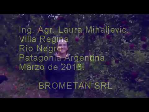 download lagu mp3 mp4 Brometan, download lagu Brometan gratis, unduh video klip Brometan