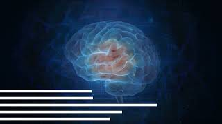 Download lagu Fakta Otak Mengungkap Rahasia Organ Paling Menakjubkan di Tubuh Manusia - Newbiecreator347 mp3 Download lagu Fakta Otak Mengungkap Rahasia Organ Paling Menakjubkan di Tubuh Manusia - Newbiecreator347 mp3