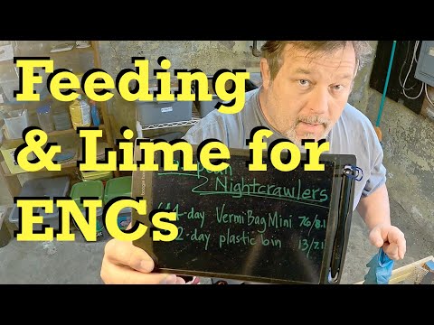 700-day gameplan for Euro-s in VermiBag Mini - nightcrawler worm farm vermicomposting