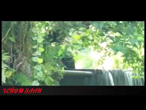 DJ LEXAR FT HALE ROUSIOU ( REGGEA 2K19 ) .