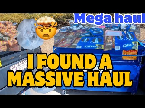 I FOUND THIS MASSIVE HAUL LOADED WITH GOODIES WHILE DUMPSTER DIVING!