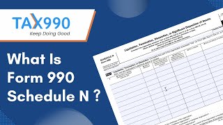 What Is Form 990 Schedule N
