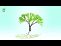 Green Planet Powerplant Grow & Nitroking (Malayalam)