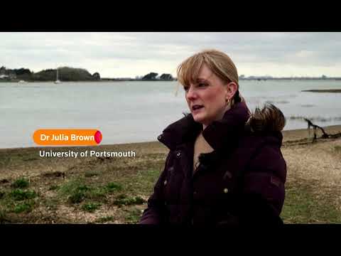 Seen from the sky: polluted waters around the world