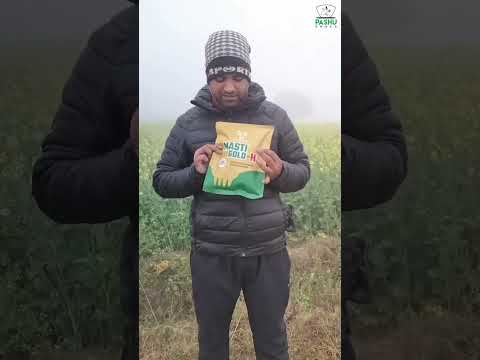 MastiGold-H - YouTube video