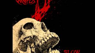 Carniflex - Life Fades to a Funeral