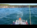 Parrot fish 1st catch with my RC fishing boat in the ...