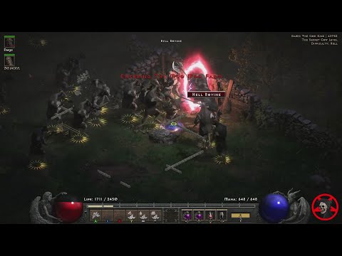 D2R - HC Death lvl 71 RIP